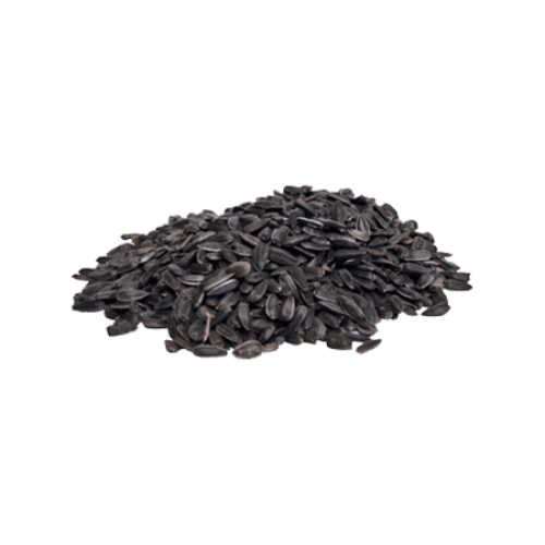 Black Oil Sunflower Seeds Sterile Lab Supply